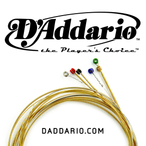 Logo D'Addario